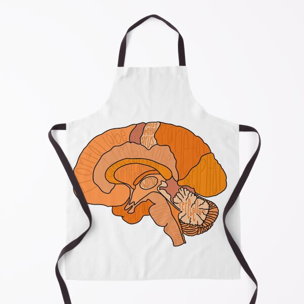 Item preview, Labeled Brain Anatomy - Orange designed and sold by Katherine Winner.