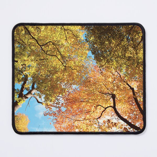 Item preview, Yellow & Orange Trees Meeting designed and sold by RoseyElisabeth.