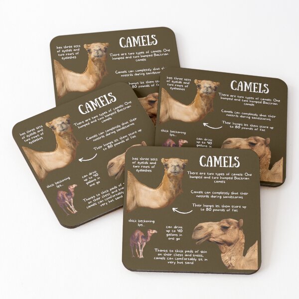 Item preview, Camels Fun Facts designed and sold by KyleNesas.