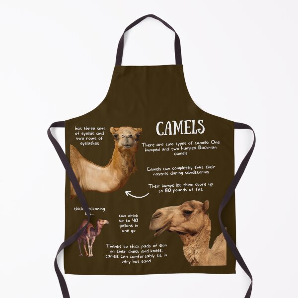 Item preview, Camels Fun Facts designed and sold by KyleNesas.
