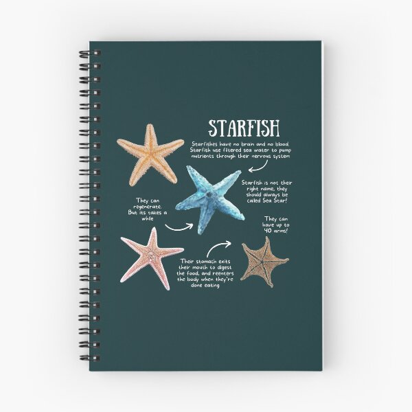 Item preview, Starfish Fun Facts designed and sold by KyleNesas.