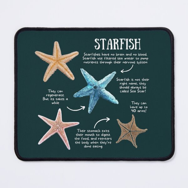 Item preview, Starfish Fun Facts designed and sold by KyleNesas.