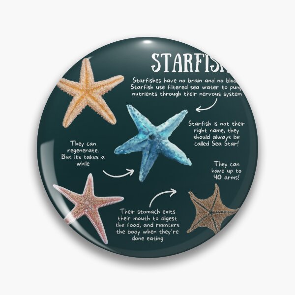 Item preview, Starfish Fun Facts designed and sold by KyleNesas.