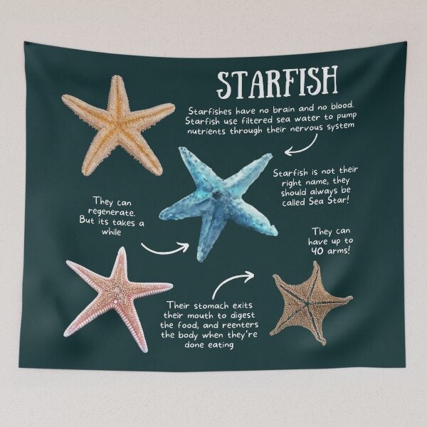 Item preview, Starfish Fun Facts designed and sold by KyleNesas.