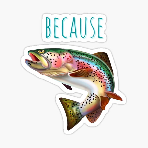 FLY FISHING BUMPER STICKERS Rainbow Brook Brown Trout Bow-Brook-Brown  Decals