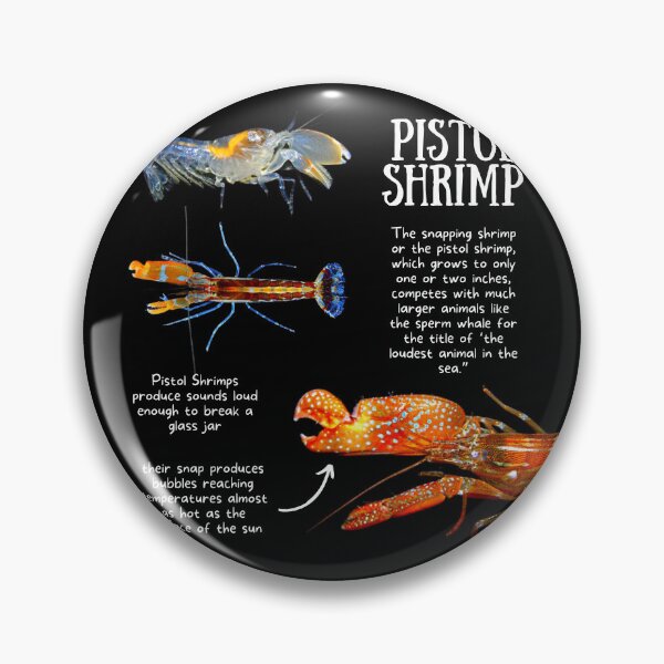 Item preview, Pistol Shrimp Fun Facts designed and sold by KyleNesas.