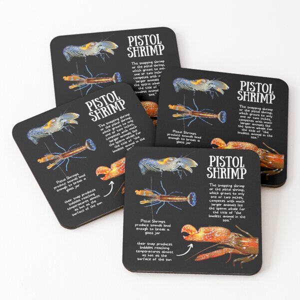 Item preview, Pistol Shrimp Fun Facts designed and sold by KyleNesas.