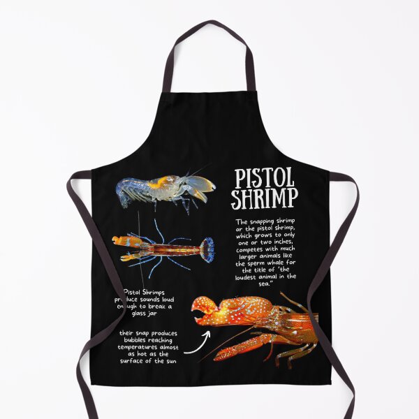 Item preview, Pistol Shrimp Fun Facts designed and sold by KyleNesas.