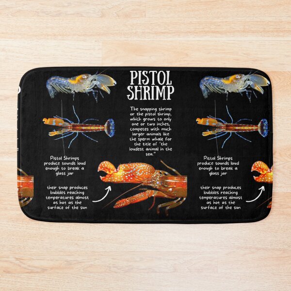 Artikelvorschau, Pistol Shrimp Fun Facts entworfen und verkauft von KyleNesas.