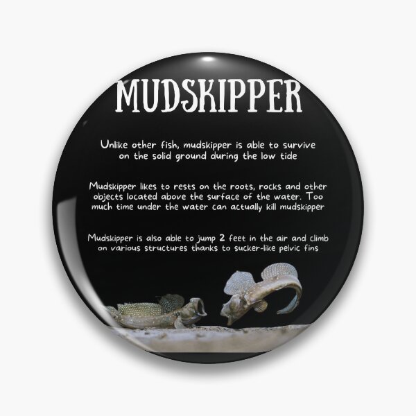 Item preview, Mudskipper Fun Facts designed and sold by KyleNesas.