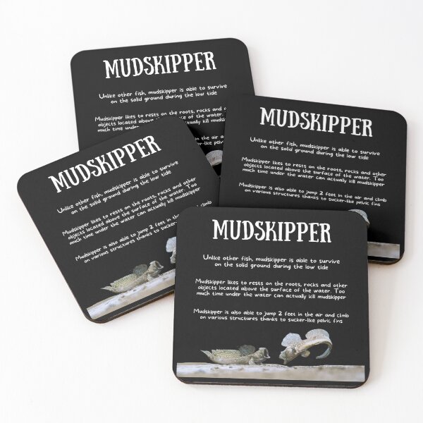 Item preview, Mudskipper Fun Facts designed and sold by KyleNesas.