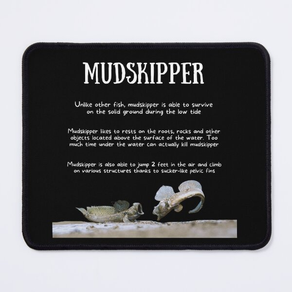 Item preview, Mudskipper Fun Facts designed and sold by KyleNesas.