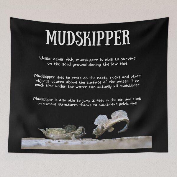 Item preview, Mudskipper Fun Facts designed and sold by KyleNesas.