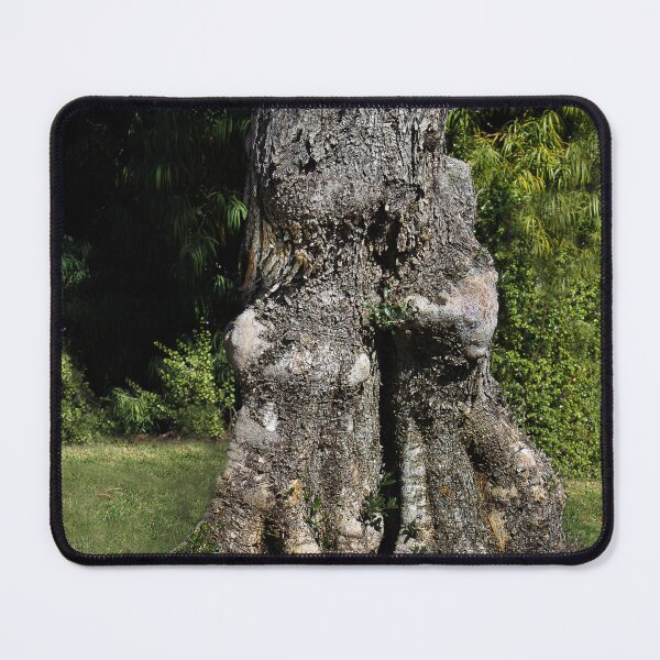 Item preview, Elderly Olive Tree Wants a Hug designed and sold by heatherfriedman.