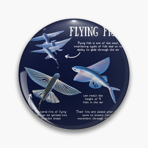 Item preview, Flying Fish Fun Facts designed and sold by KyleNesas.