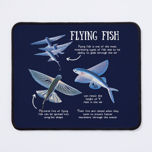 Item preview, Flying Fish Fun Facts designed and sold by KyleNesas.