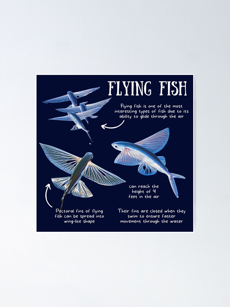 Flying Fish Fishing T-Shirt