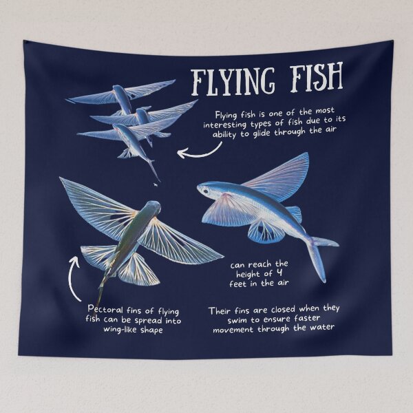 Item preview, Flying Fish Fun Facts designed and sold by KyleNesas.