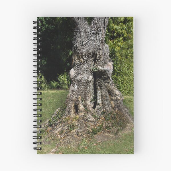 Item preview, Elderly Olive Tree Wants a Hug designed and sold by heatherfriedman.
