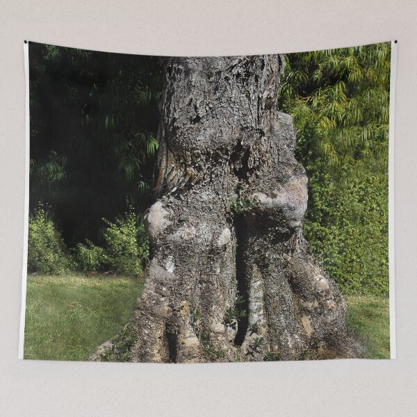 Item preview, Elderly Olive Tree Wants a Hug designed and sold by heatherfriedman.