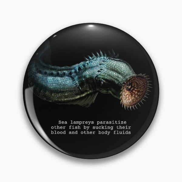 Item preview, Sea Lamprey Fun Facts designed and sold by KyleNesas.