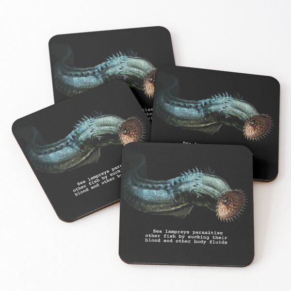 Item preview, Sea Lamprey Fun Facts designed and sold by KyleNesas.