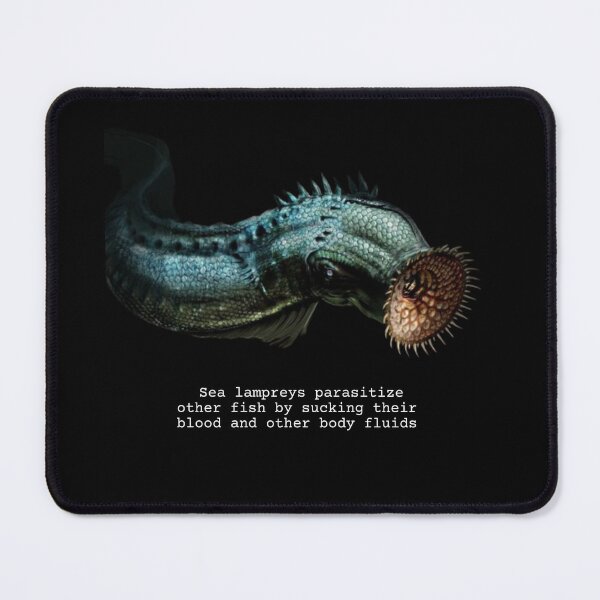 Item preview, Sea Lamprey Fun Facts designed and sold by KyleNesas.