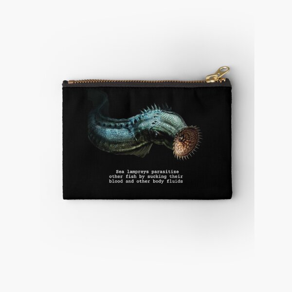 Item preview, Sea Lamprey Fun Facts designed and sold by KyleNesas.