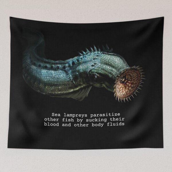 Item preview, Sea Lamprey Fun Facts designed and sold by KyleNesas.