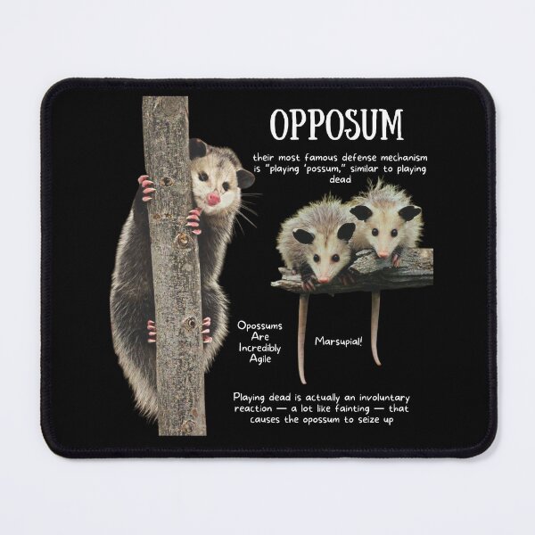 Item preview, Opposum Fun Facts designed and sold by KyleNesas.