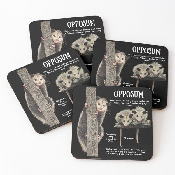 Item preview, Opposum Fun Facts designed and sold by KyleNesas.