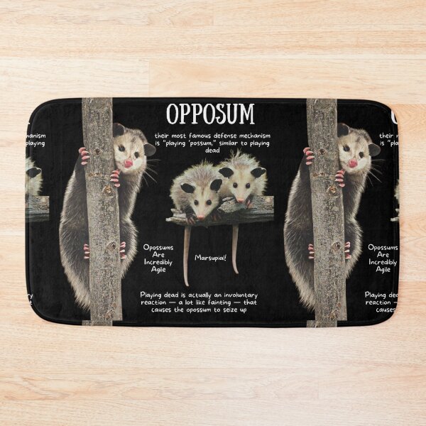 Item preview, Opposum Fun Facts designed and sold by KyleNesas.