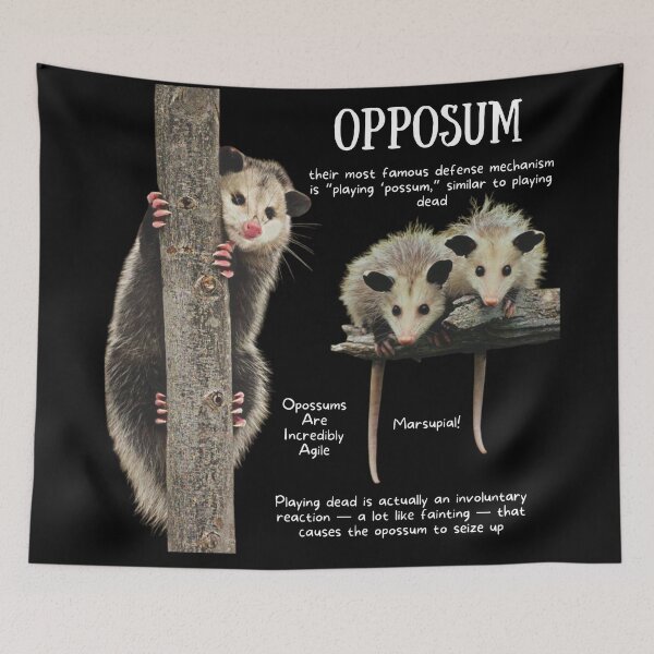 Item preview, Opposum Fun Facts designed and sold by KyleNesas.