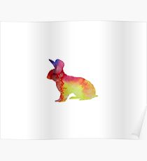 Hase Poster