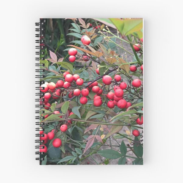 Item preview, Rowan Berries designed and sold by iCharlotteShop.