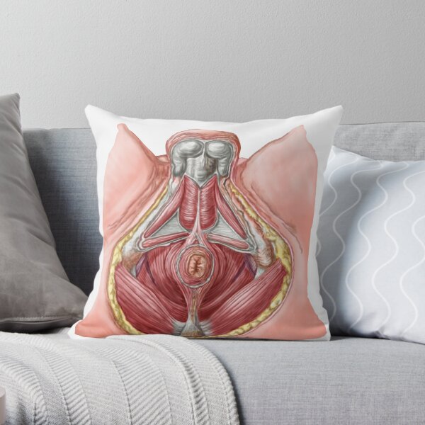 Pelvic floor of human male. | Throw Pillow