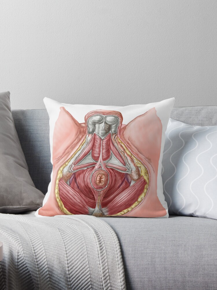 The Bones Of The Pelvis Throw Pillow