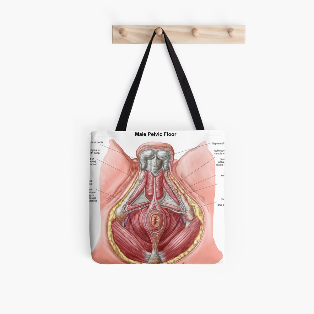 Anatomy of human pelvic bone. Throw Pillow for Sale by