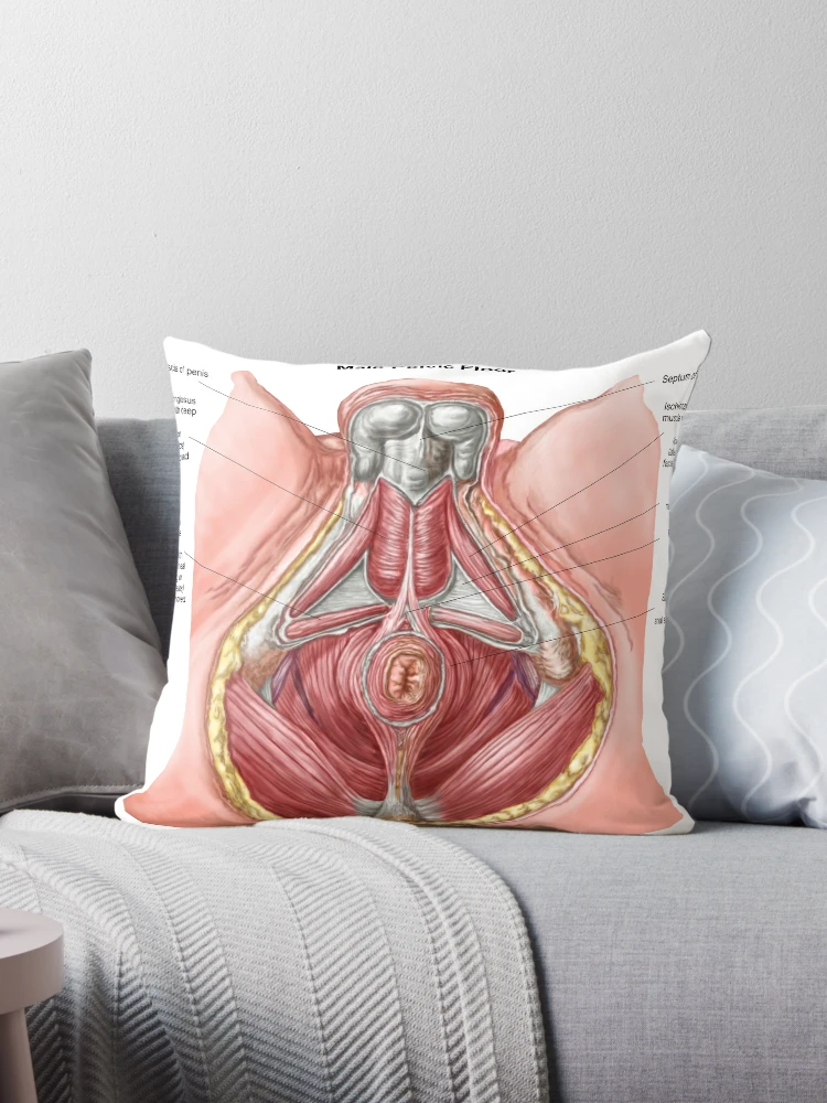 Anatomy of human pelvic bone. | Throw Pillow