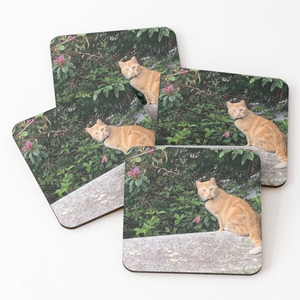 Item preview, A day in the life of a cat designed and sold by Pearls1.