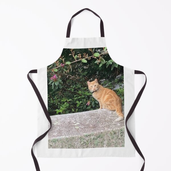 Item preview, A day in the life of a cat designed and sold by Pearls1.