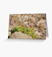 Wildflower Greeting Card