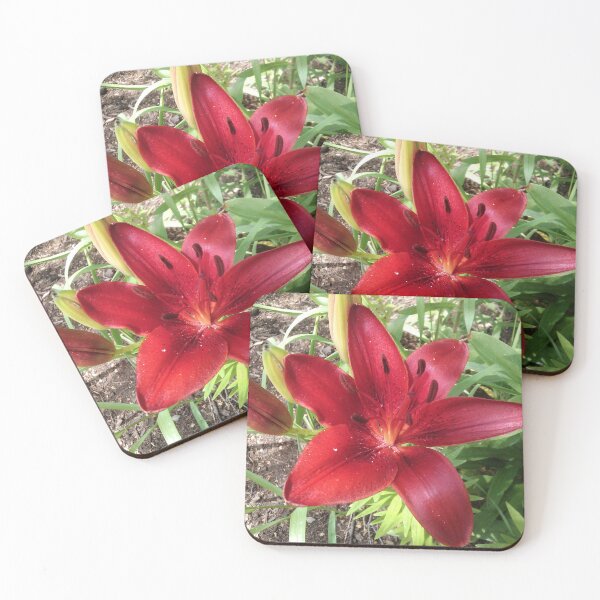 Item preview, STAR LILY FLOWER designed and sold by JoAnnHayden.
