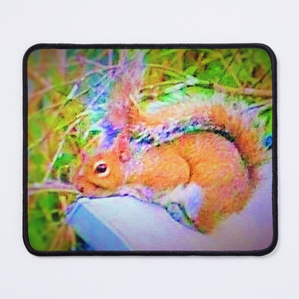Item preview, Favorite napping spot designed and sold by B. Randi Bailey.