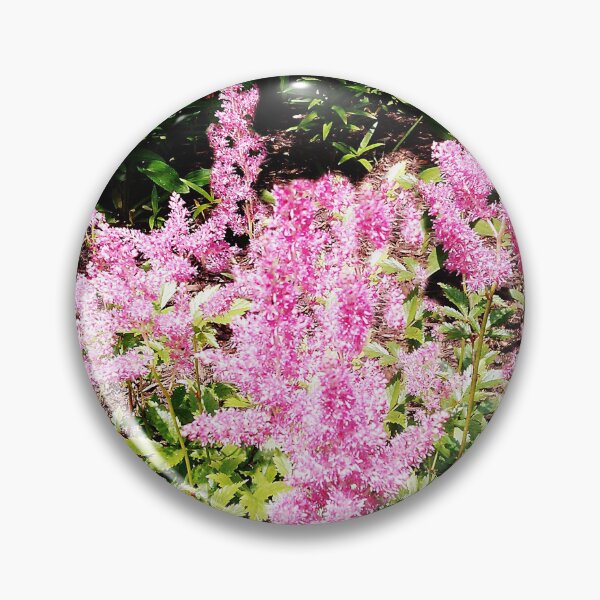 Item preview, FALSE GOAT'S BEARD  designed and sold by JoAnnHayden.