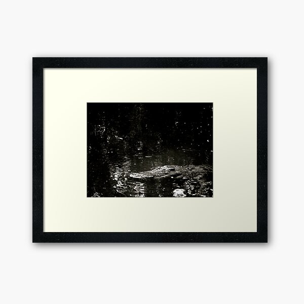 Stumpy Framed Art Print