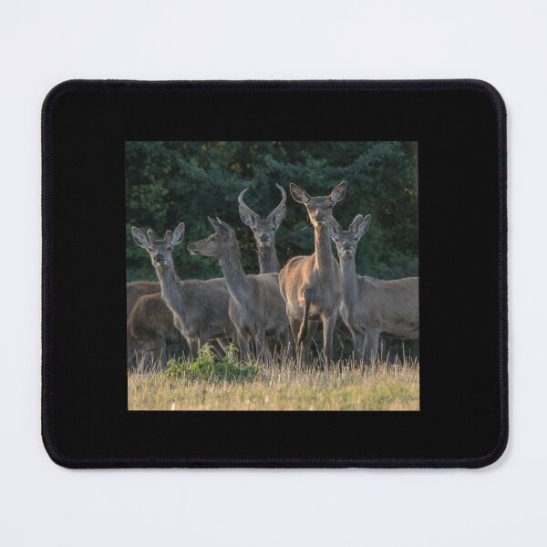 Item preview, Alert Deer Premium . designed and sold by alexanderneni.