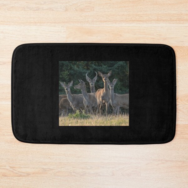Item preview, Alert Deer Premium . designed and sold by alexanderneni.