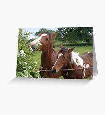 Horses 2 Greeting Card