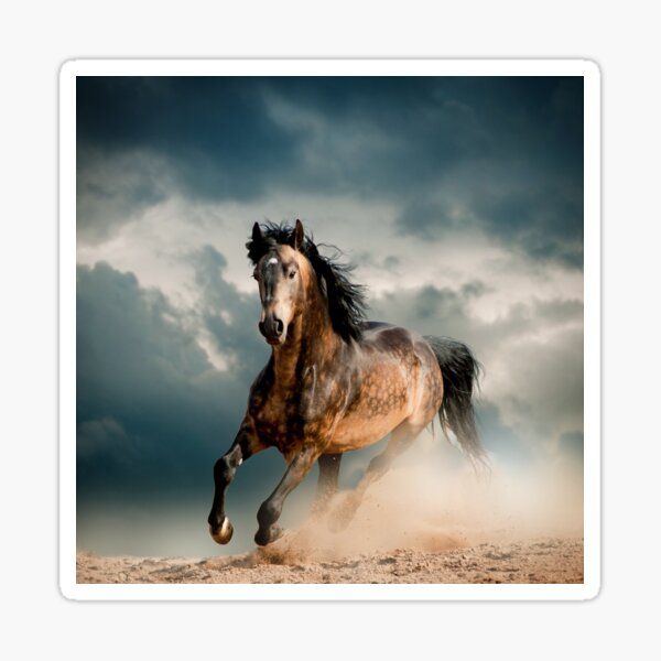 Aperçu de l'œuvre Cheval au galop créée et vendue par DV-LTD.